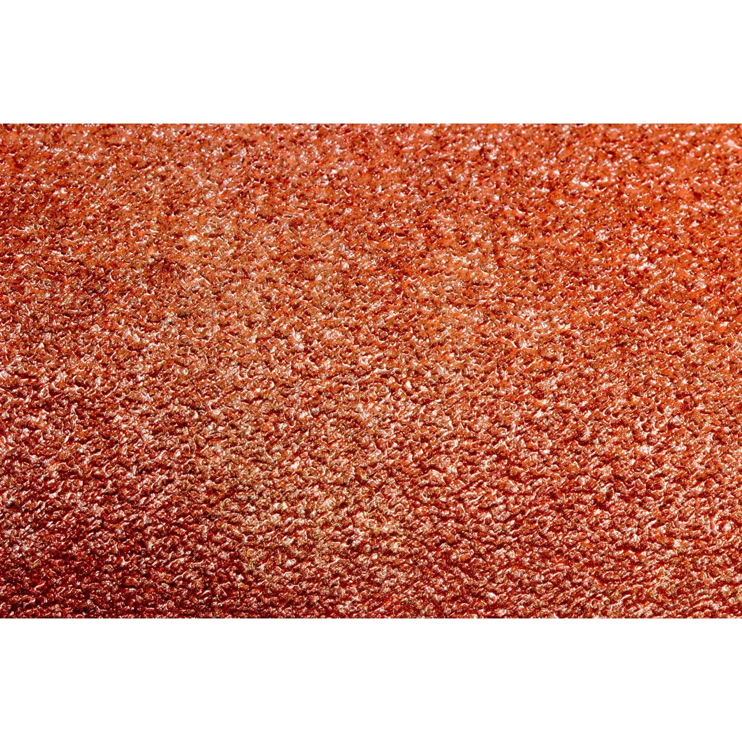 WEN 5SD120 120-Grit Adhesive-Backed 5 In. Disc Sandpaper, 10 Pack(Wen 5sd120 120 Grit Adhesive Backed 5 In Disc Sandpaper 10 Pack) 5 WEN 5SD120 120-Grit Adhesive-Backed 5 In. Disc Sandpaper, 10 Pack(Wen 5sd120 120 Grit Adhesive Backed 5 In Disc Sandpaper 10 Pack) - Image 3